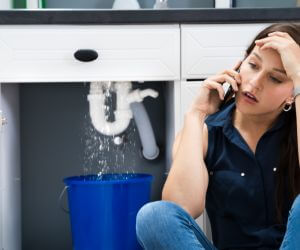 About The Faucet Pros Plush, OR